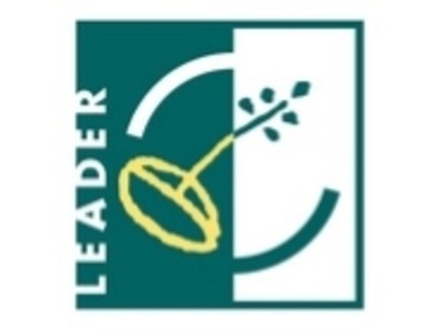 Programme Leader